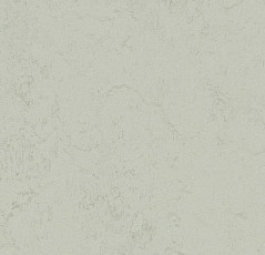 Линолеум Forbo Marmoleum Decibel on Order 373235 asteroid фото 1 | FLOORDEALER